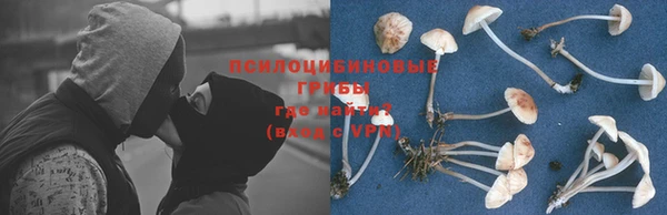 a pvp Балабаново