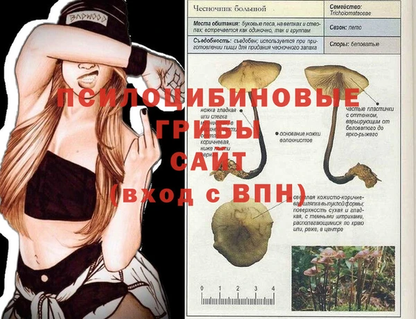 a pvp Балабаново
