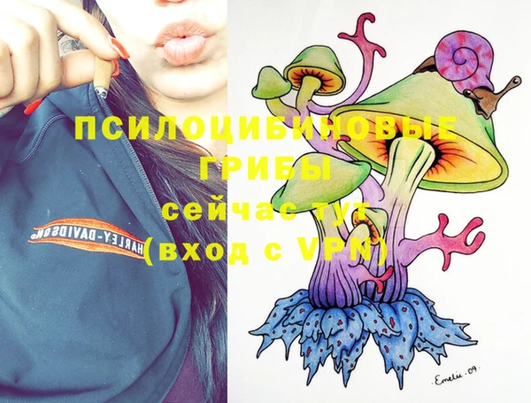 мет Балахна