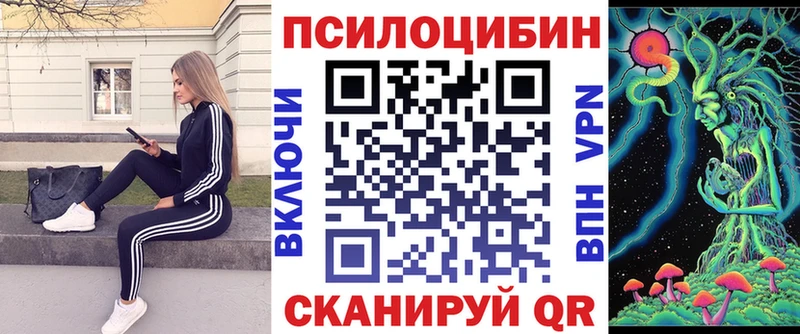 Псилоцибиновые грибы Psilocybe  Переславль-Залесский 